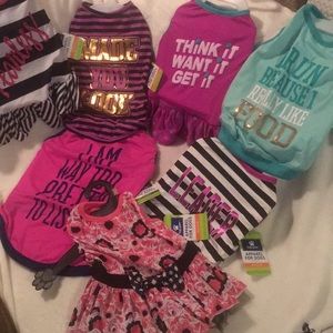 TOP PAW MEDIUM AND LARGE. NWT $9 each or all $50